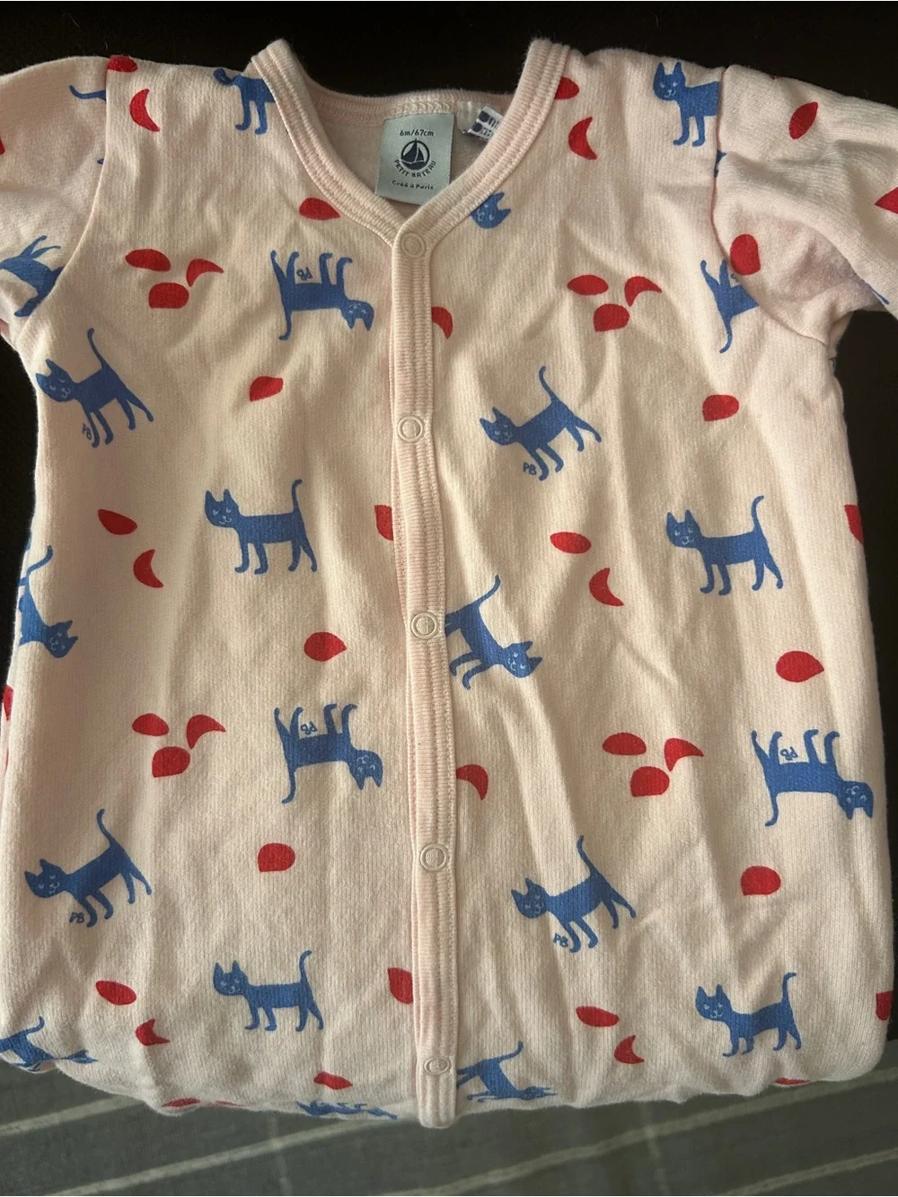 Petit Bateau Light Pink One-Piece Footie with Blue Cat and Red Leaf Print
